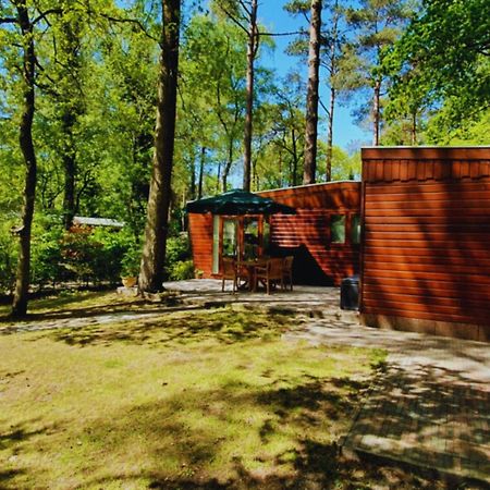 Wooden Nature Chalet - Dennenrhode Doornspijk Villa Kültér fotó