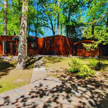 Wooden Nature Chalet - Dennenrhode Doornspijk Villa Kültér fotó