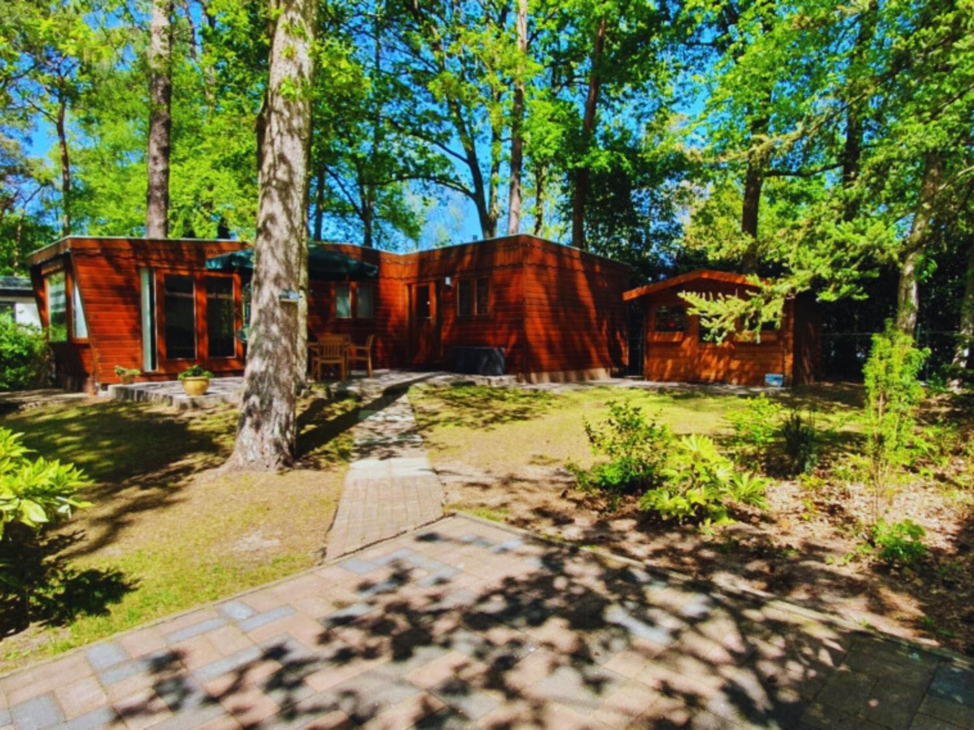 Wooden Nature Chalet - Dennenrhode Doornspijk Villa Kültér fotó